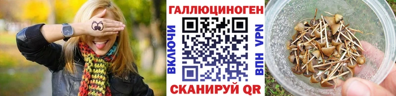 мориарти телеграм  Шумерля  Галлюциногенные грибы MAGIC MUSHROOMS  купить наркотик  omg маркетплейс 