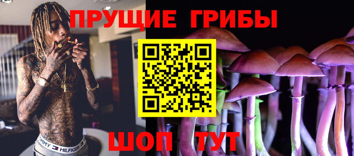Шумерля  Галлюциногенные грибы прущие грибы  Вход с VPN 