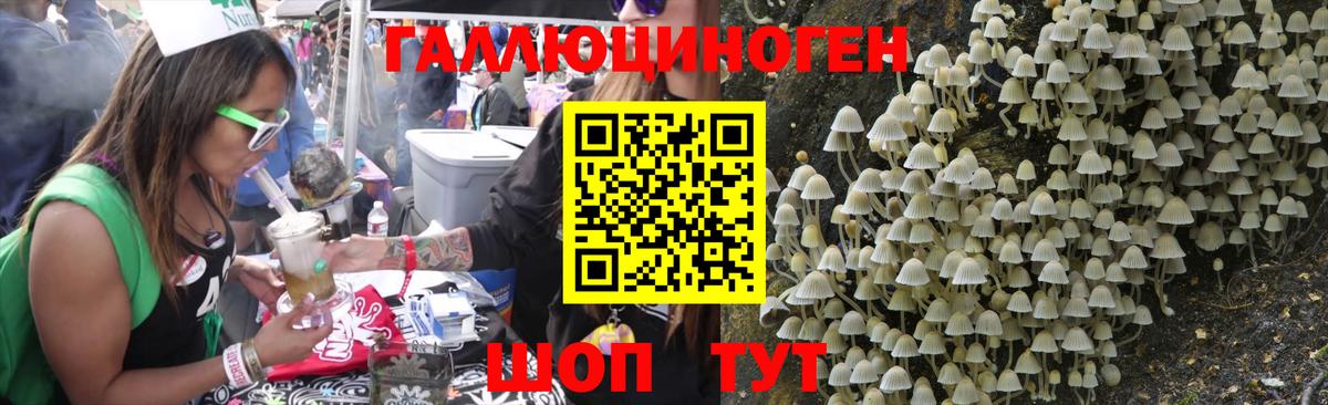 Галлюциногенные грибы Psilocybine cubensis Шумерля